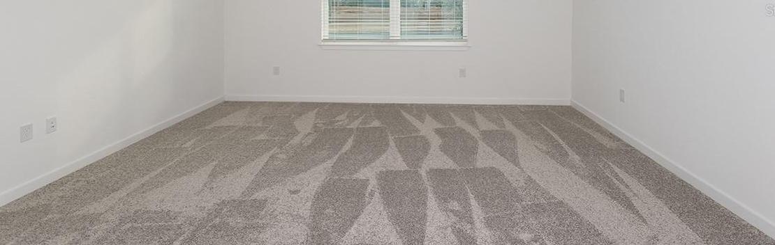 Photo #9