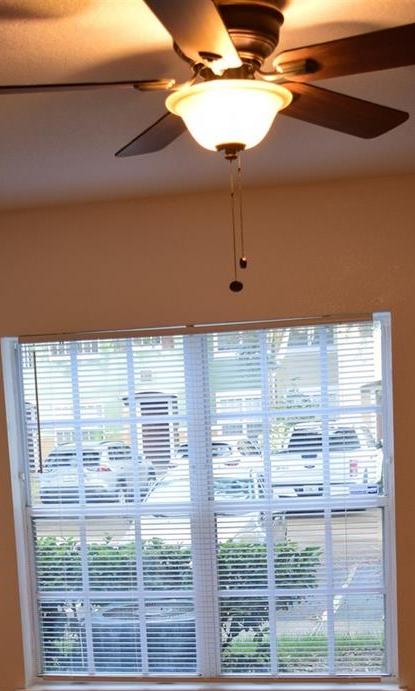 Photo #19