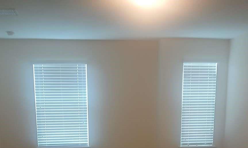 Photo #12
