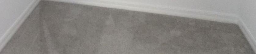 Photo #13