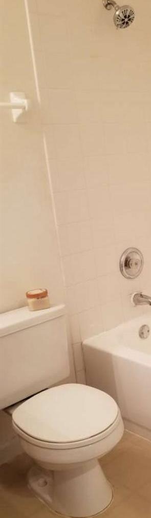 Photo #12