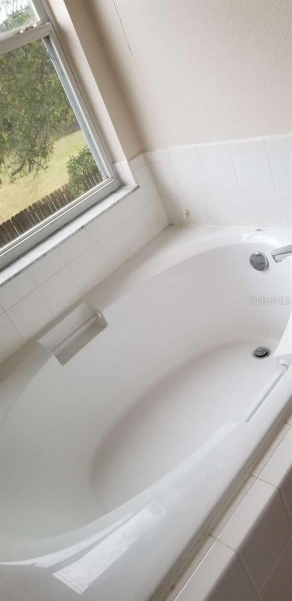 Photo #15