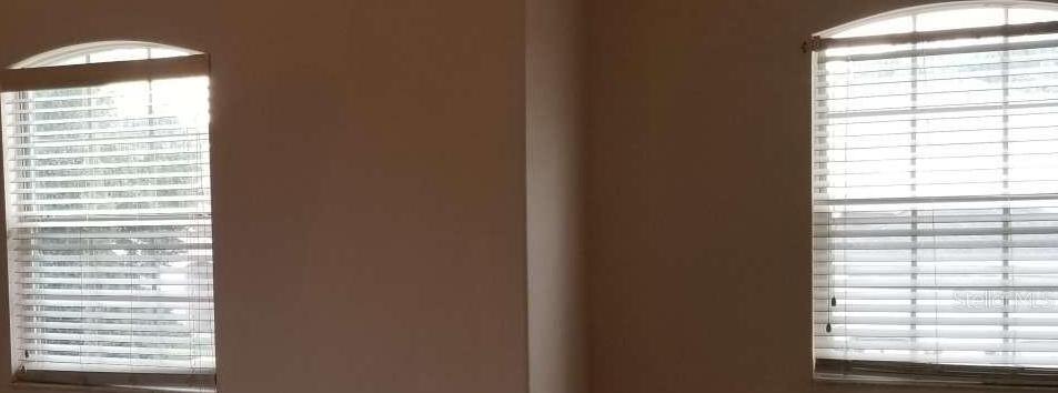 Photo #11