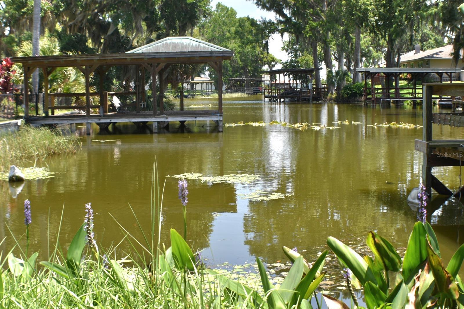 Photo #13