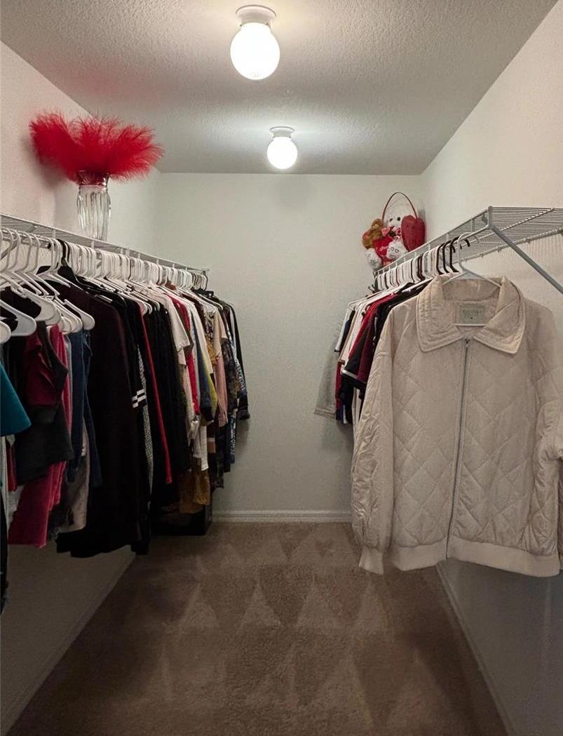 Photo #14
