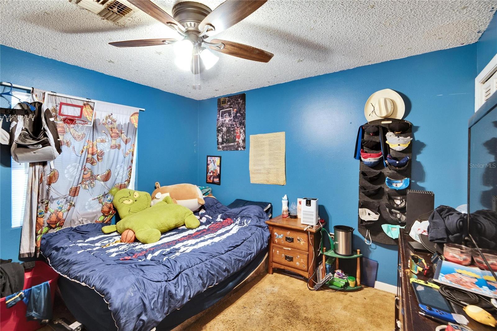 Photo #18