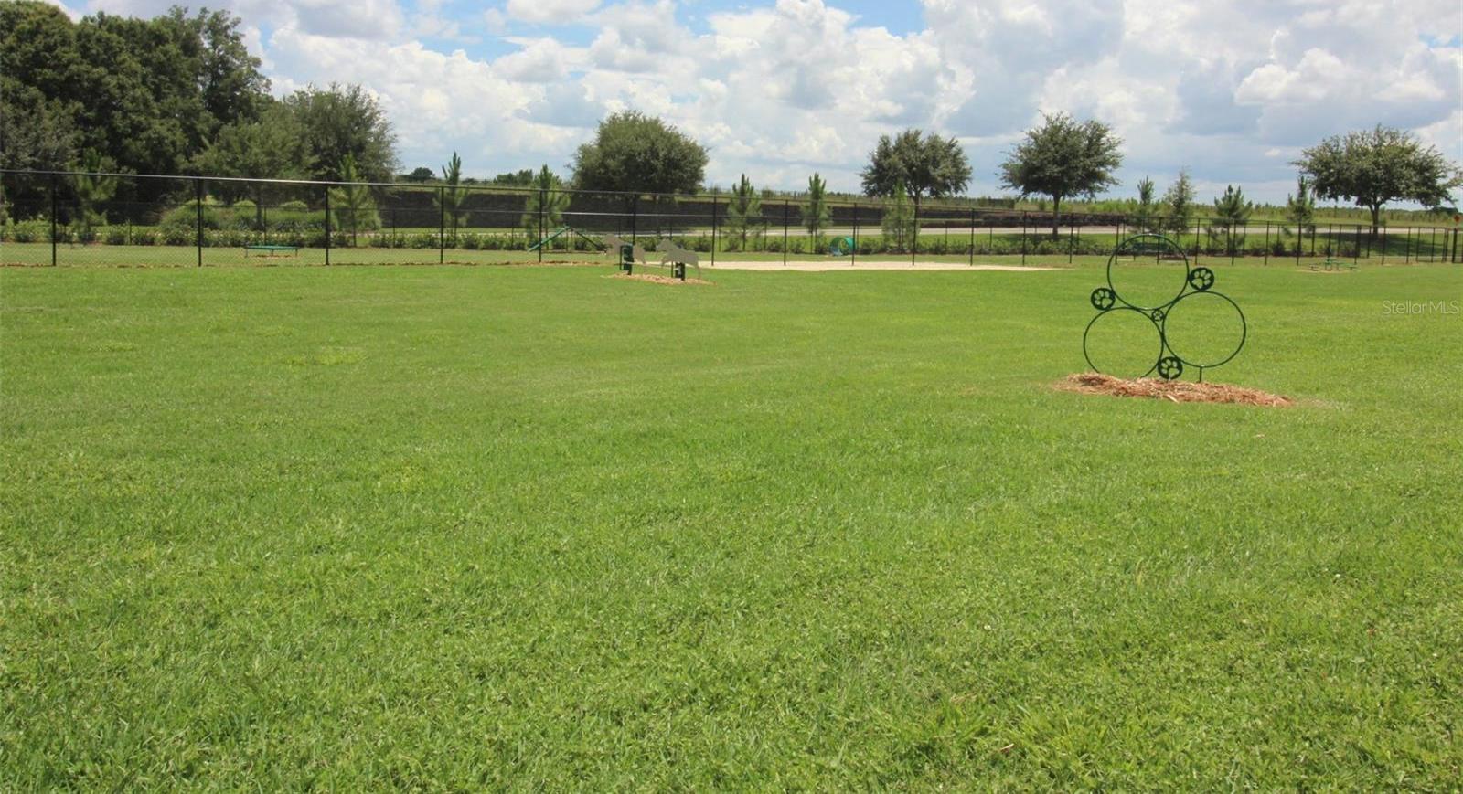 Photo #34