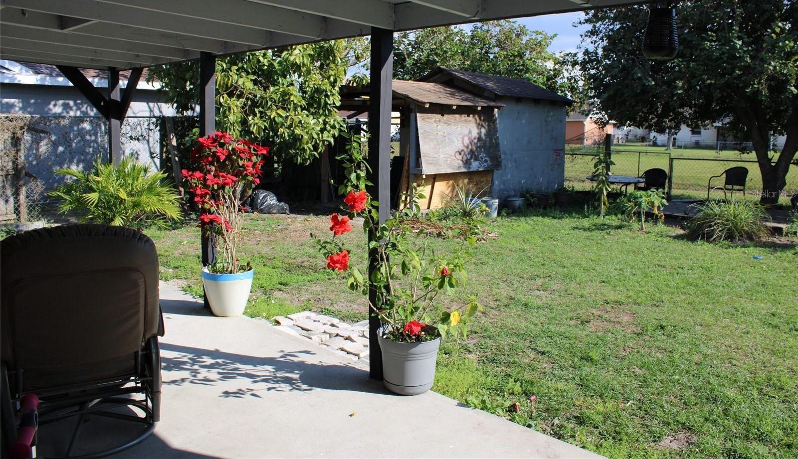 Photo #14