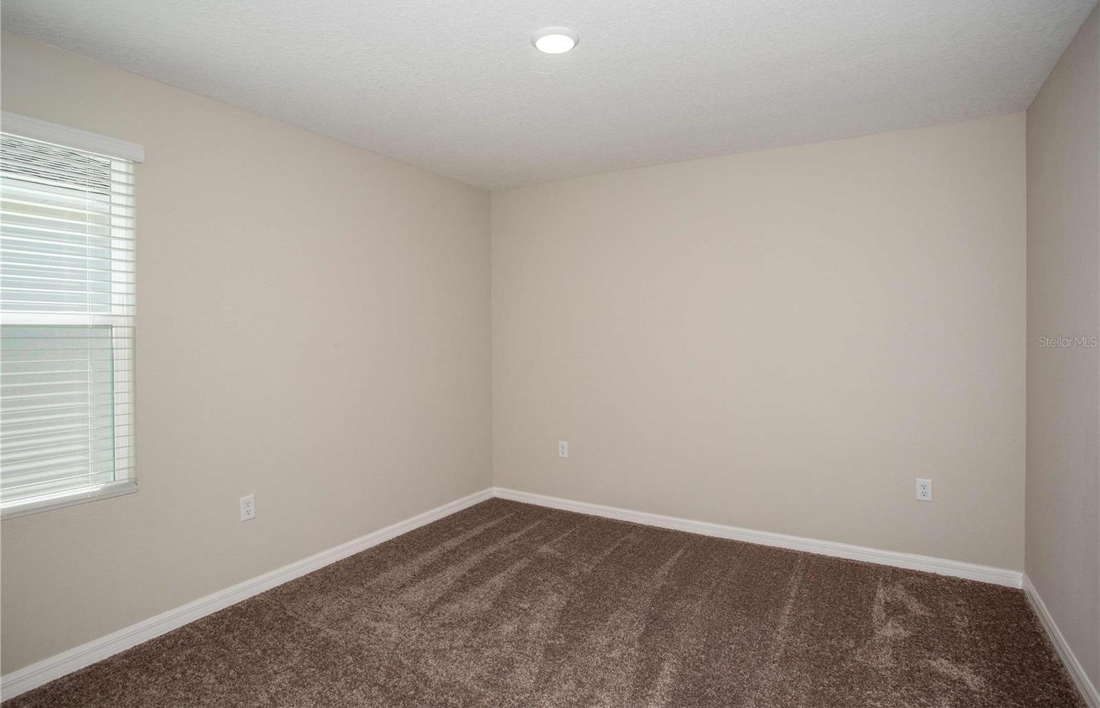 Photo #24