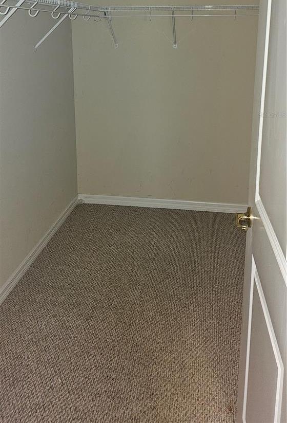 Photo #22