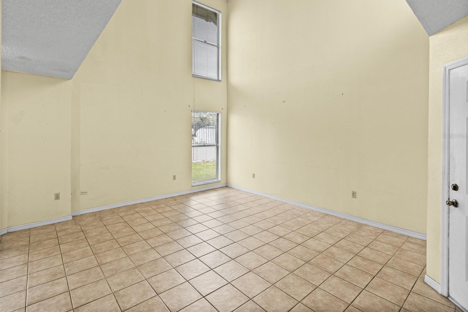 Photo #8