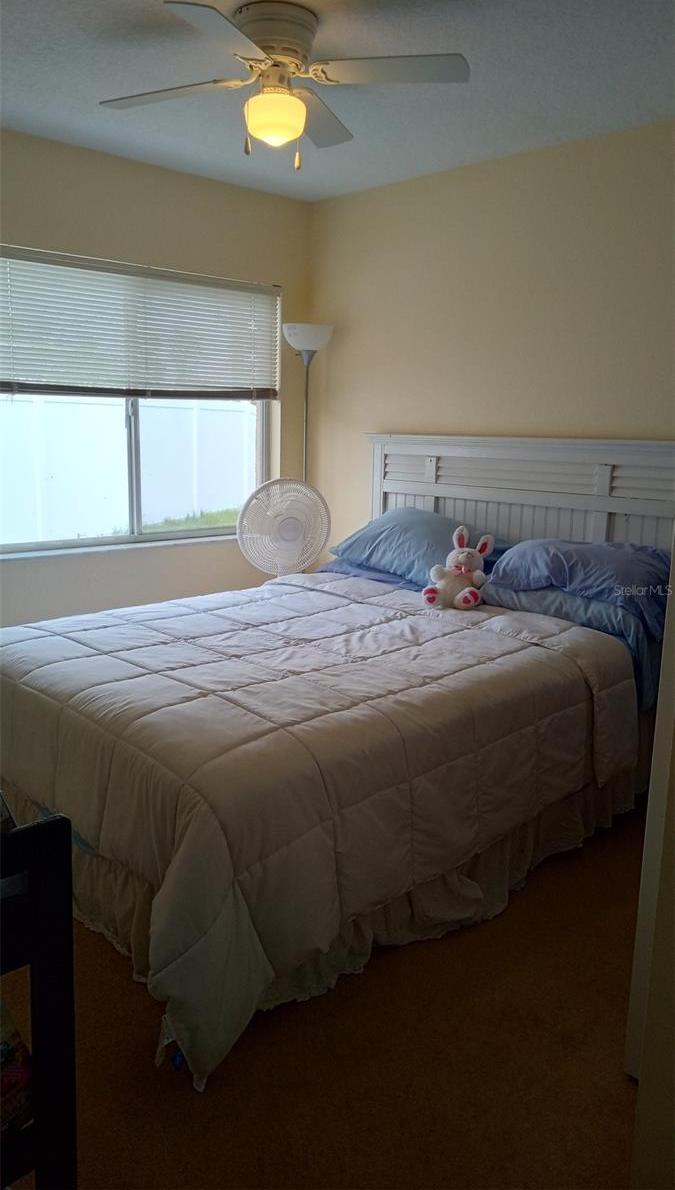 Photo #19