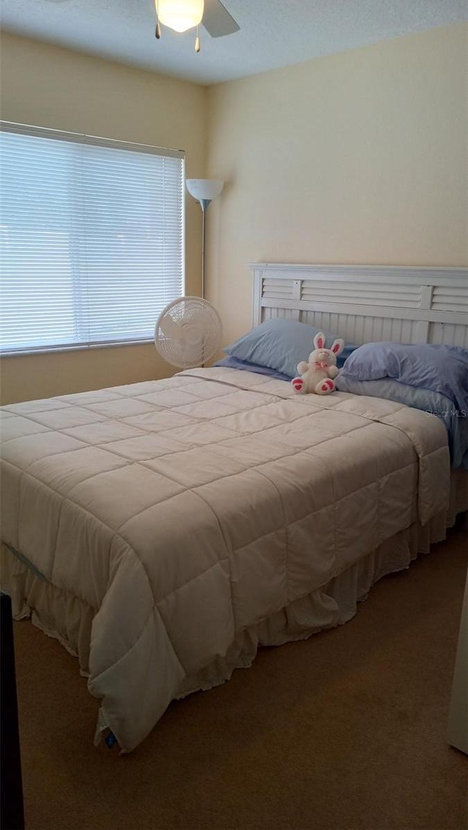 Photo #18