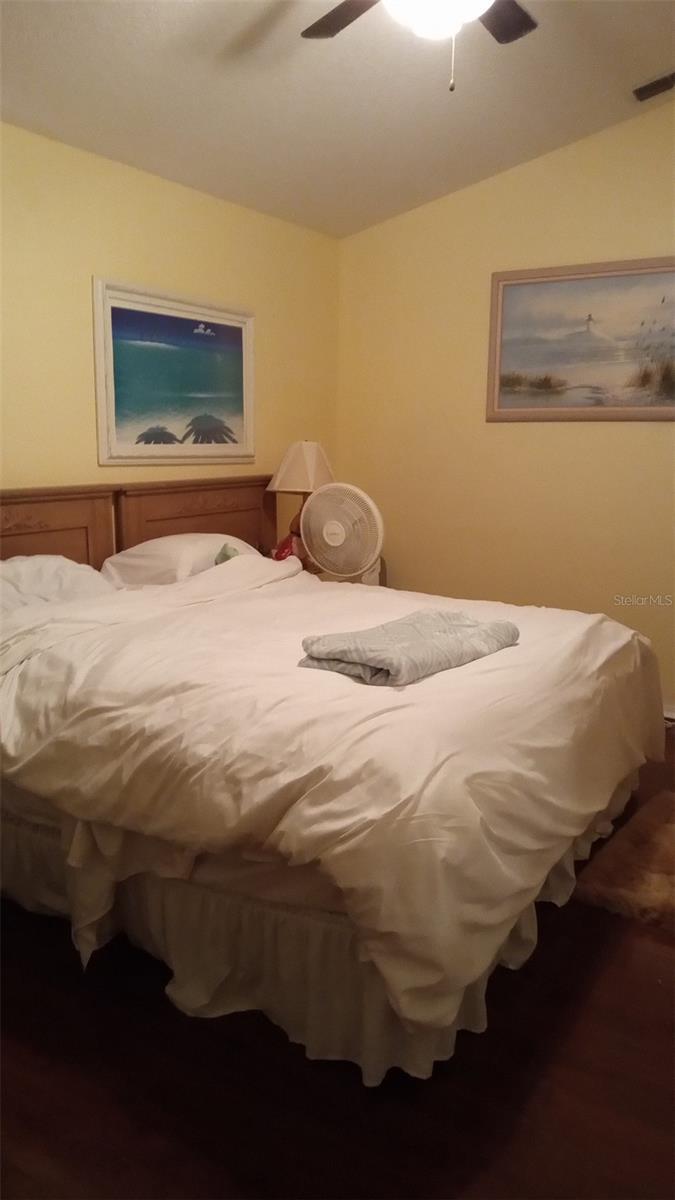 Photo #24