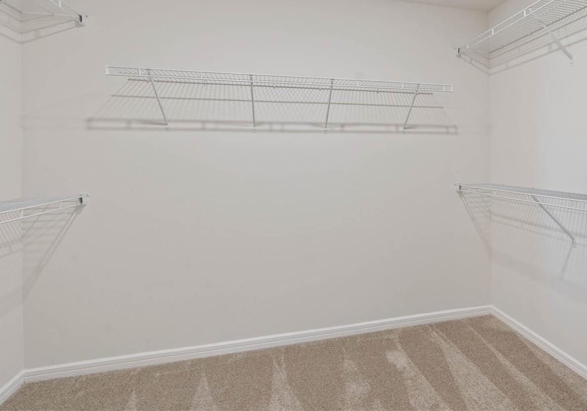 Photo #7