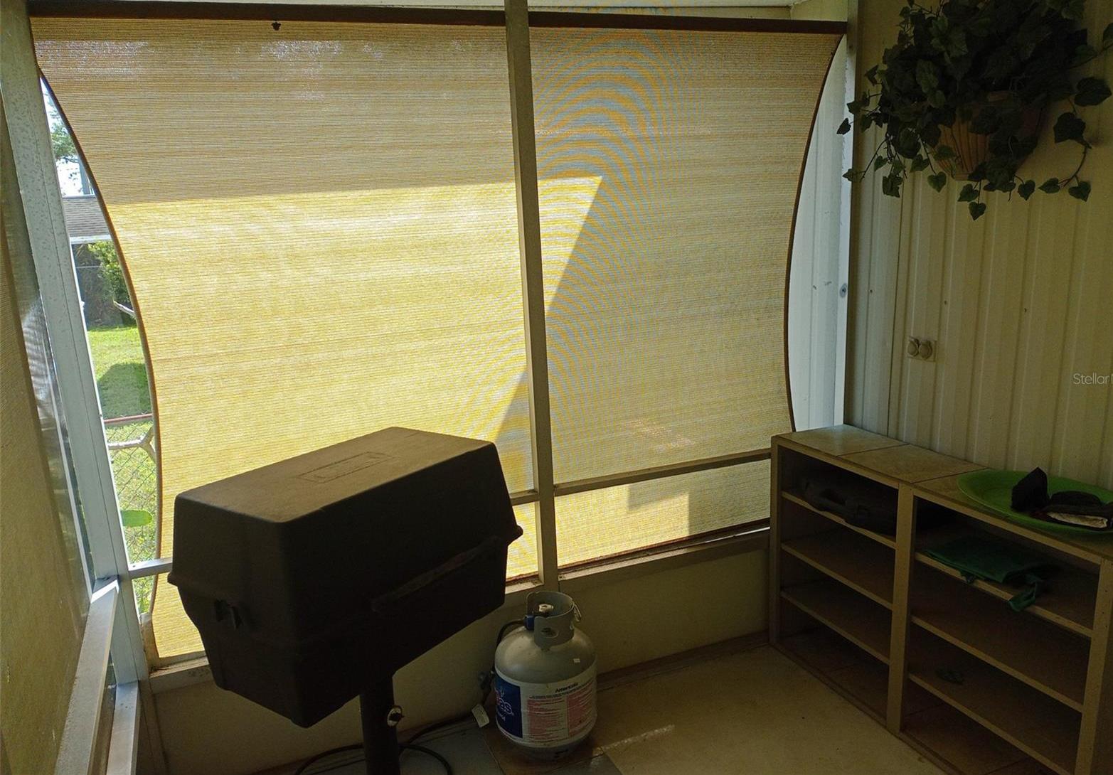 Photo #36
