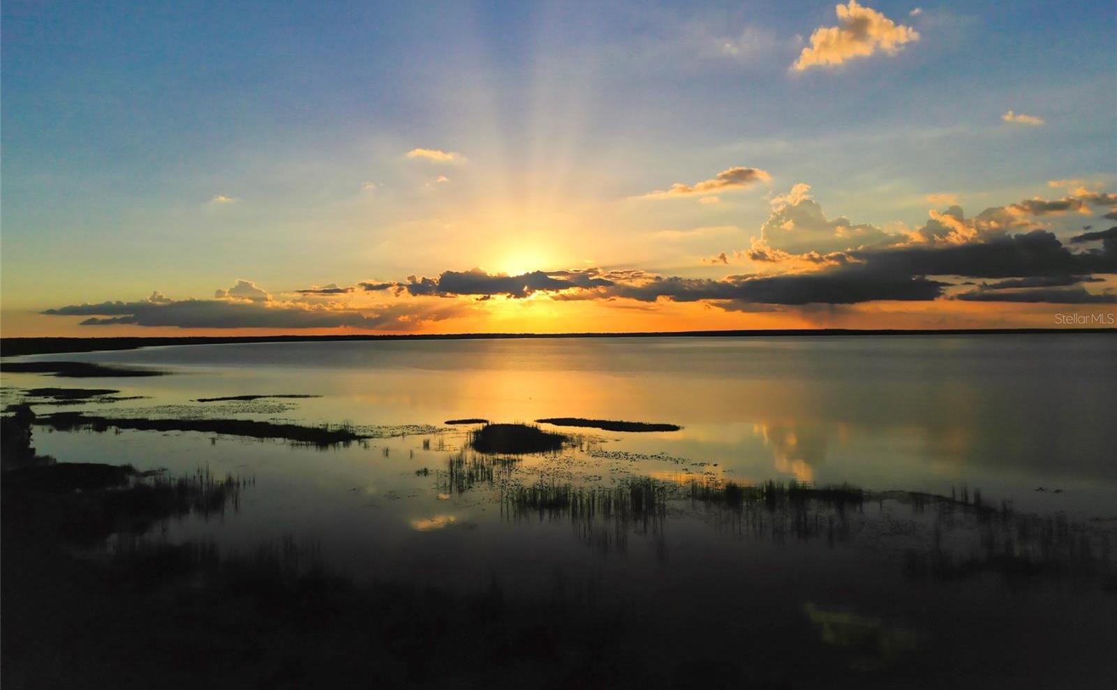 Photo #60