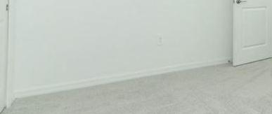 Photo #8
