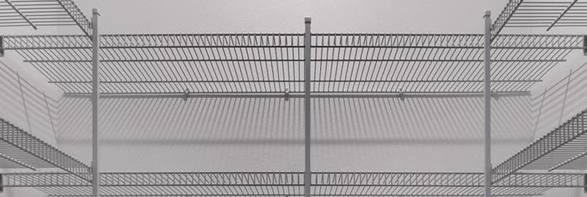 Photo #14