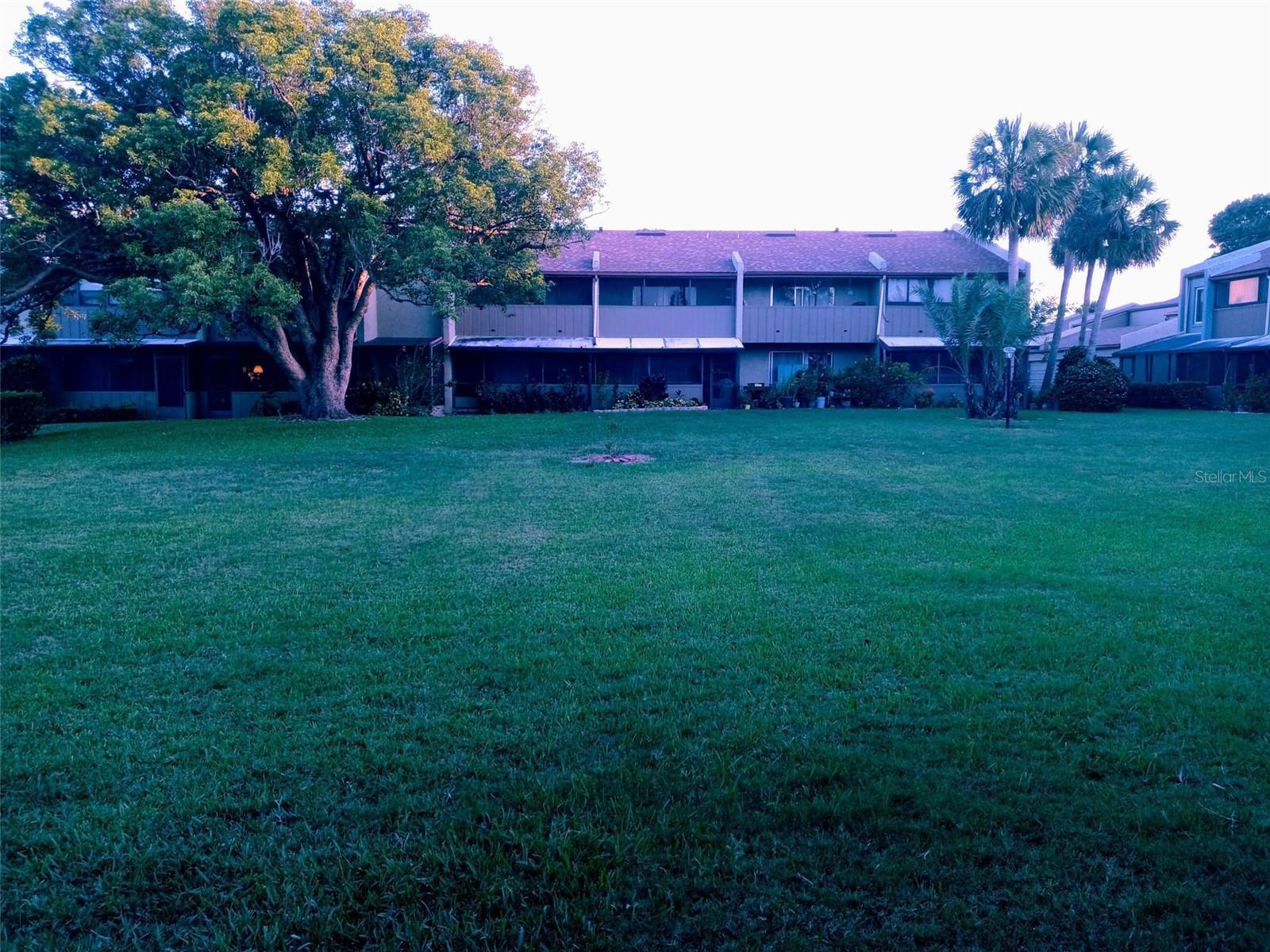 Photo #8