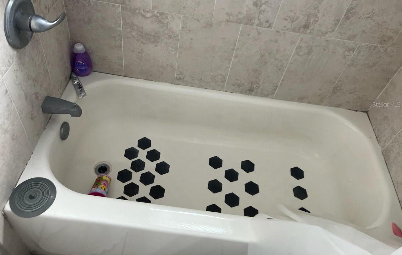 Photo #12