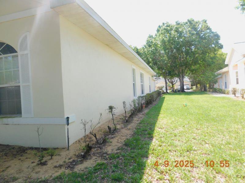 Photo #3