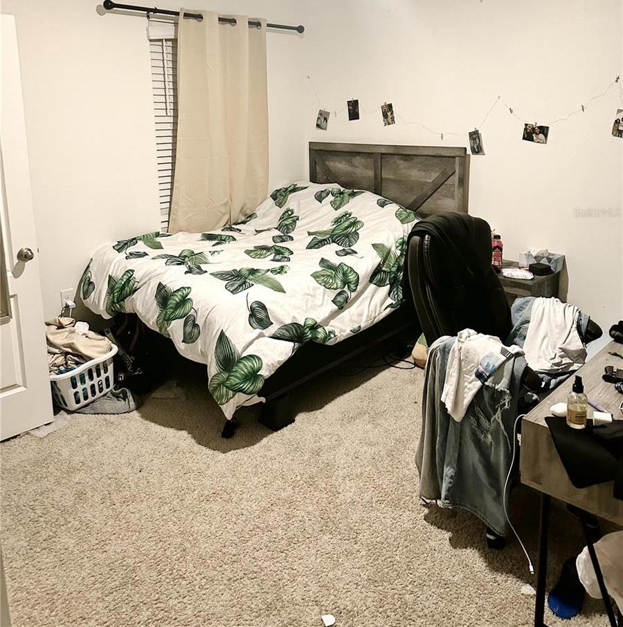 Photo #18