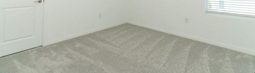 Photo #13