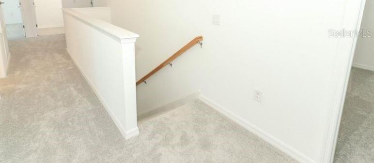 Photo #11