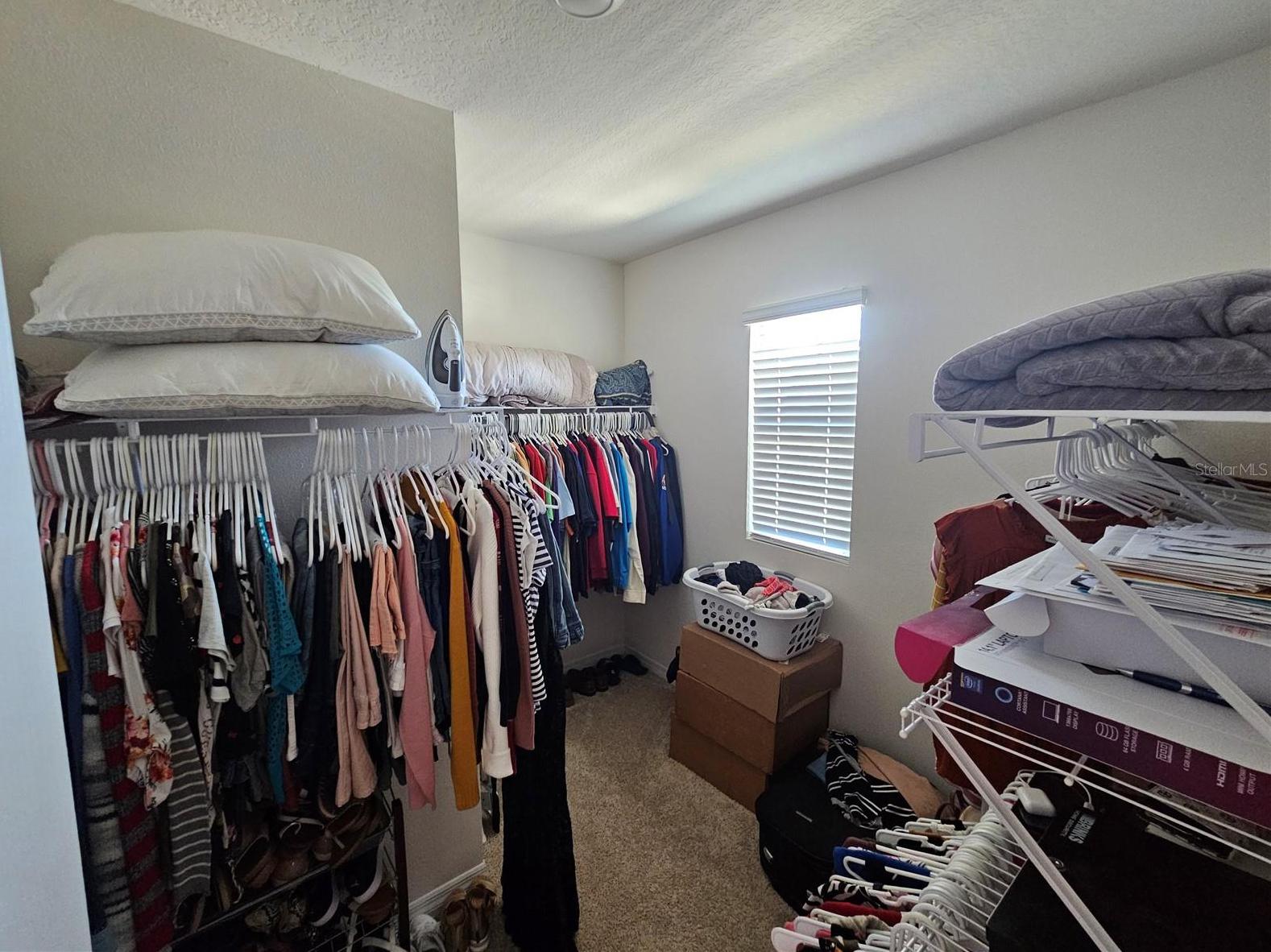 Photo #28