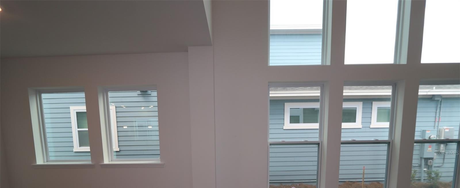 Photo #8