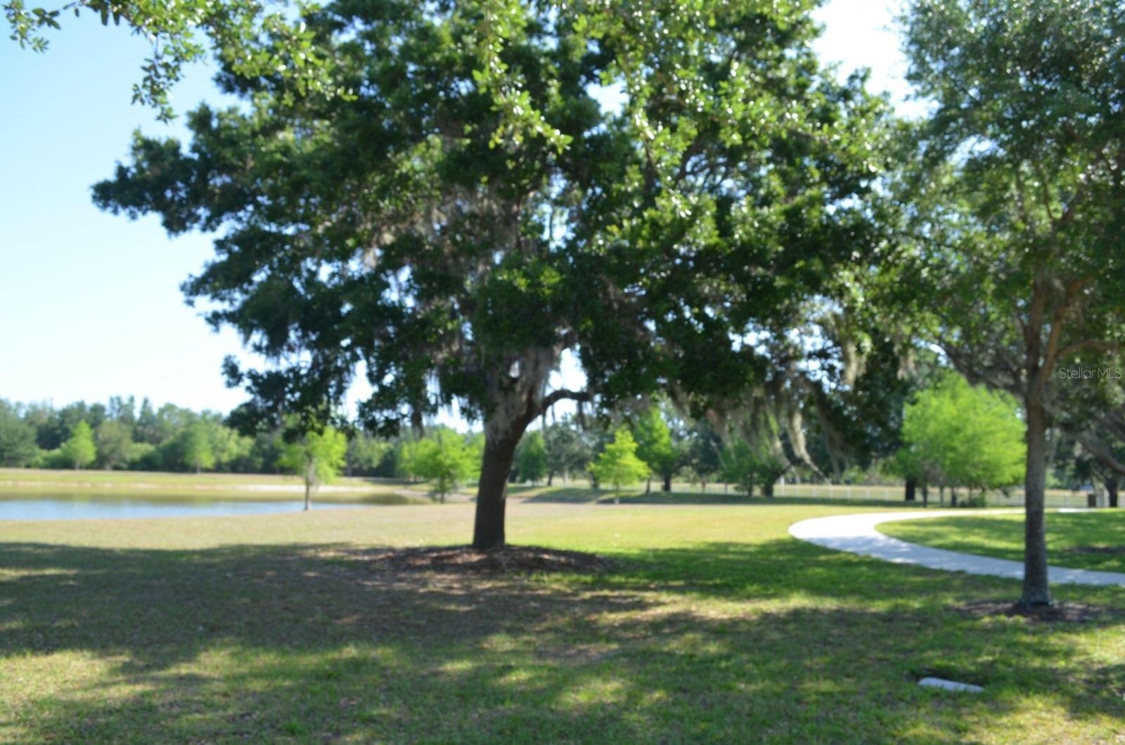Photo #9