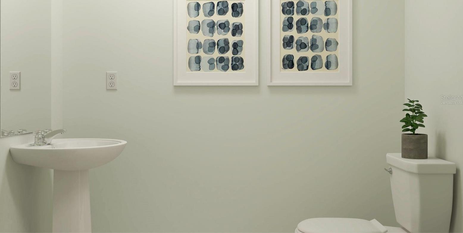 Photo #6