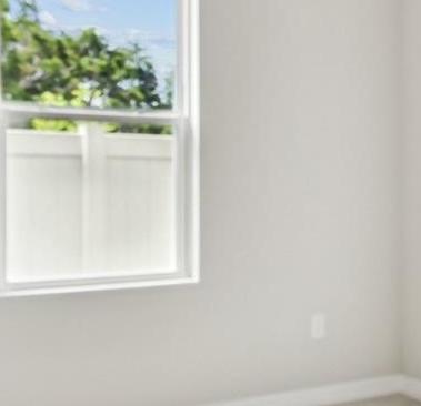 Photo #8