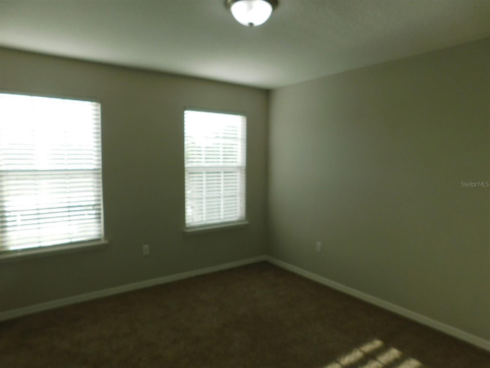 Photo #12