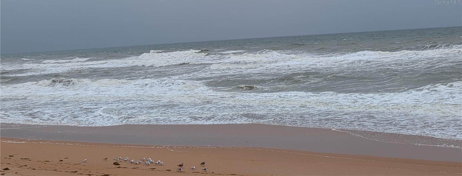 Photo #15