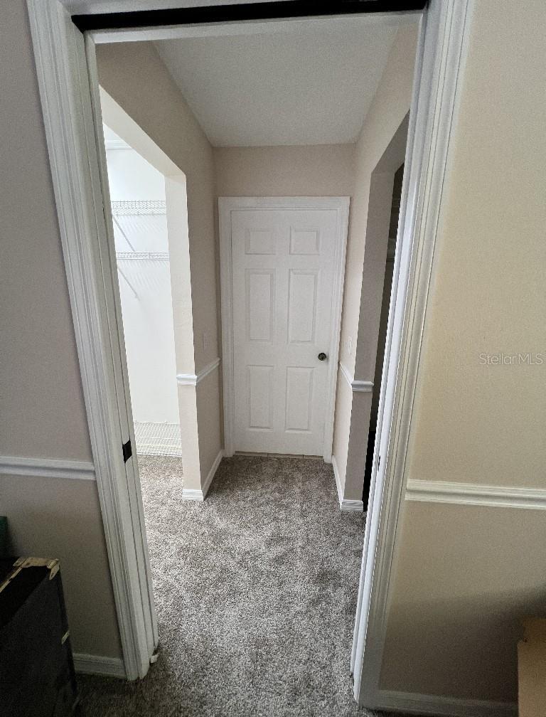 Photo #41