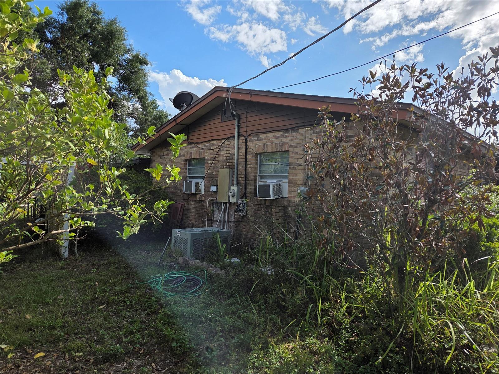 Photo #5