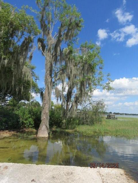 Photo #21
