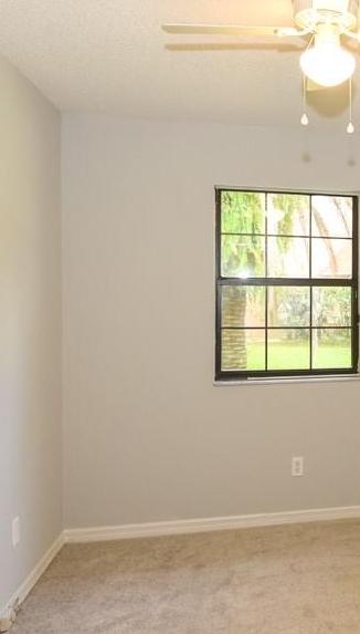 Photo #27