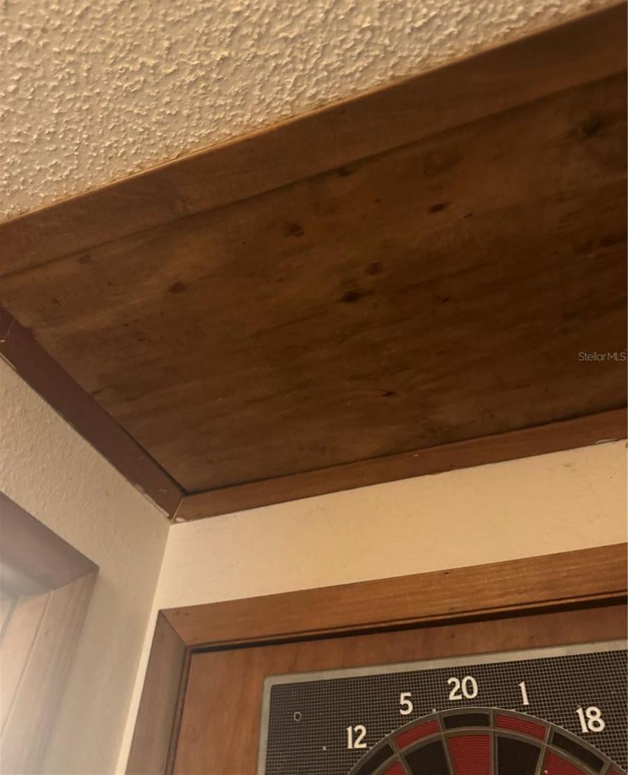 Photo #24