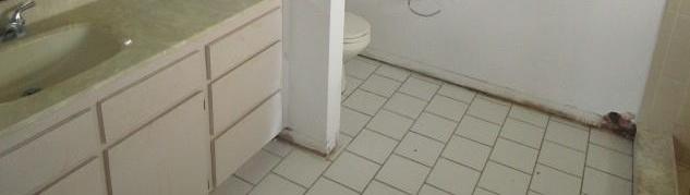 Photo #15