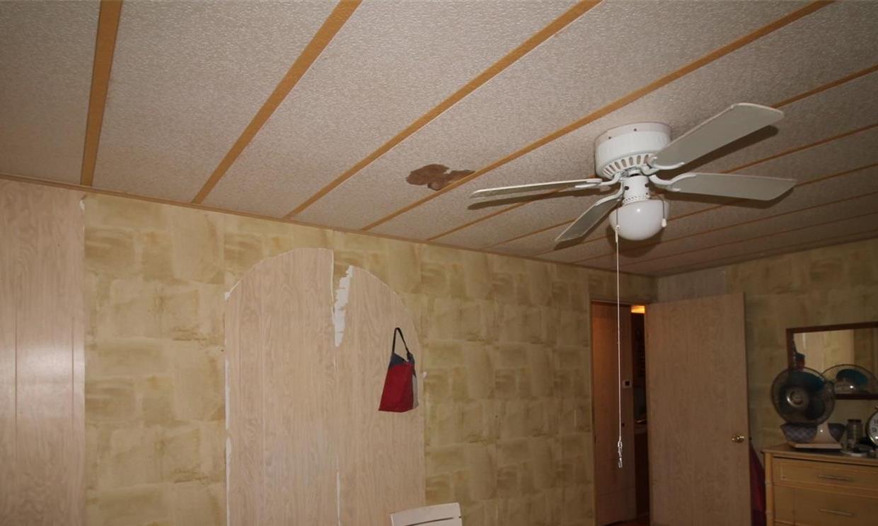Photo #21