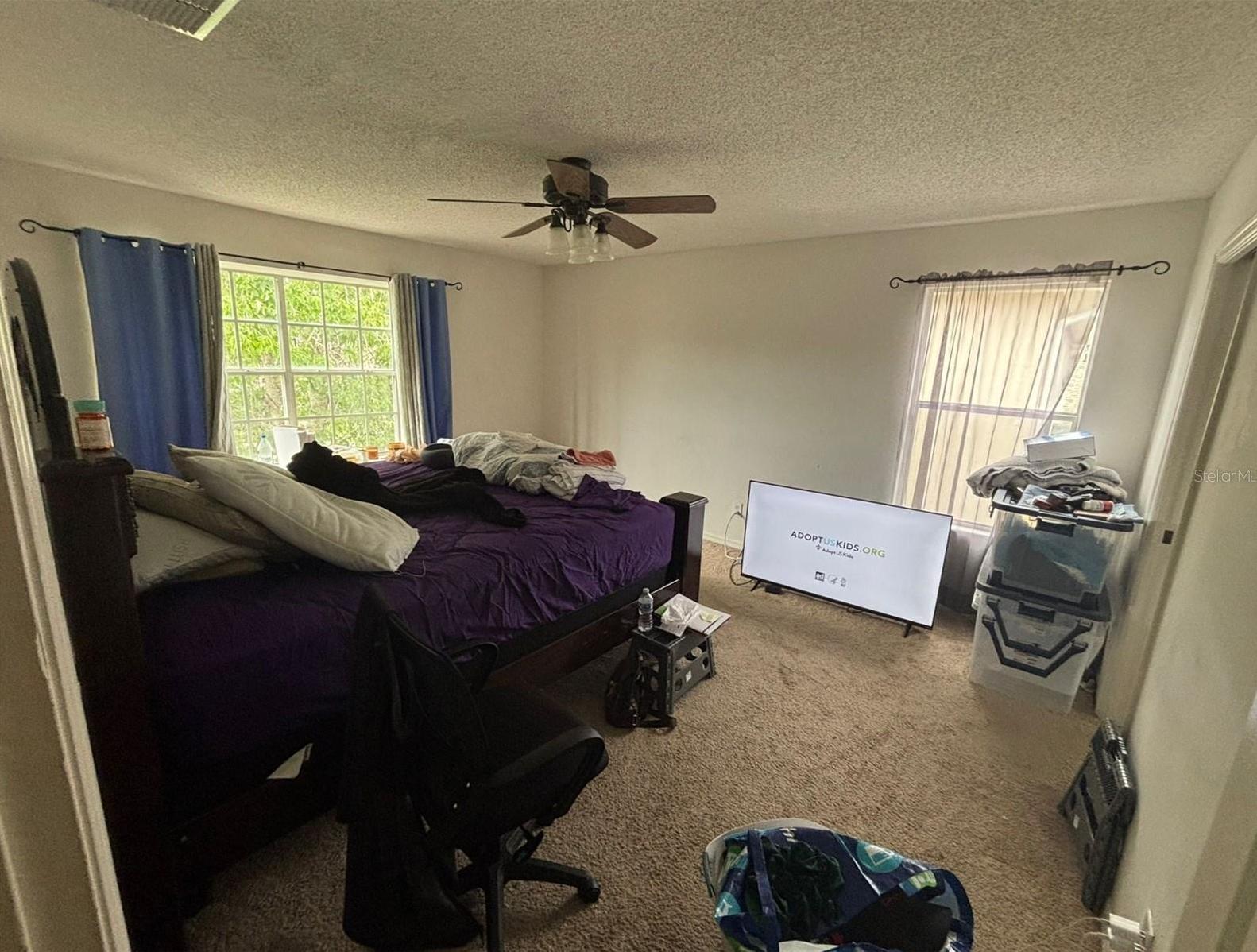 Photo #37