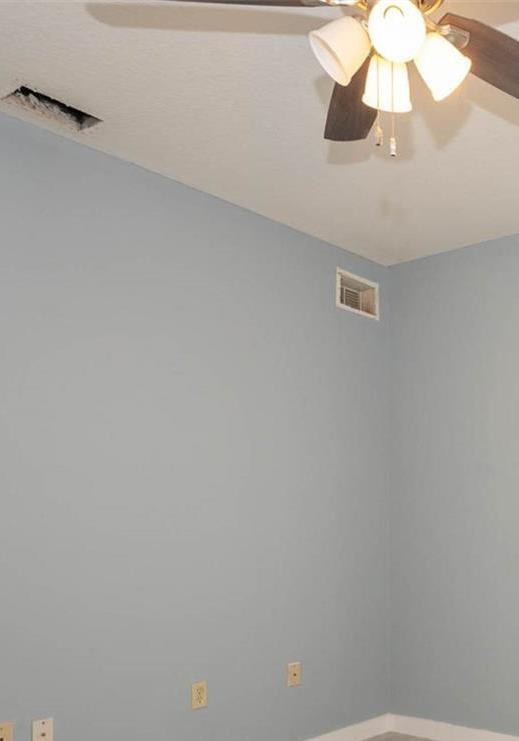 Photo #18