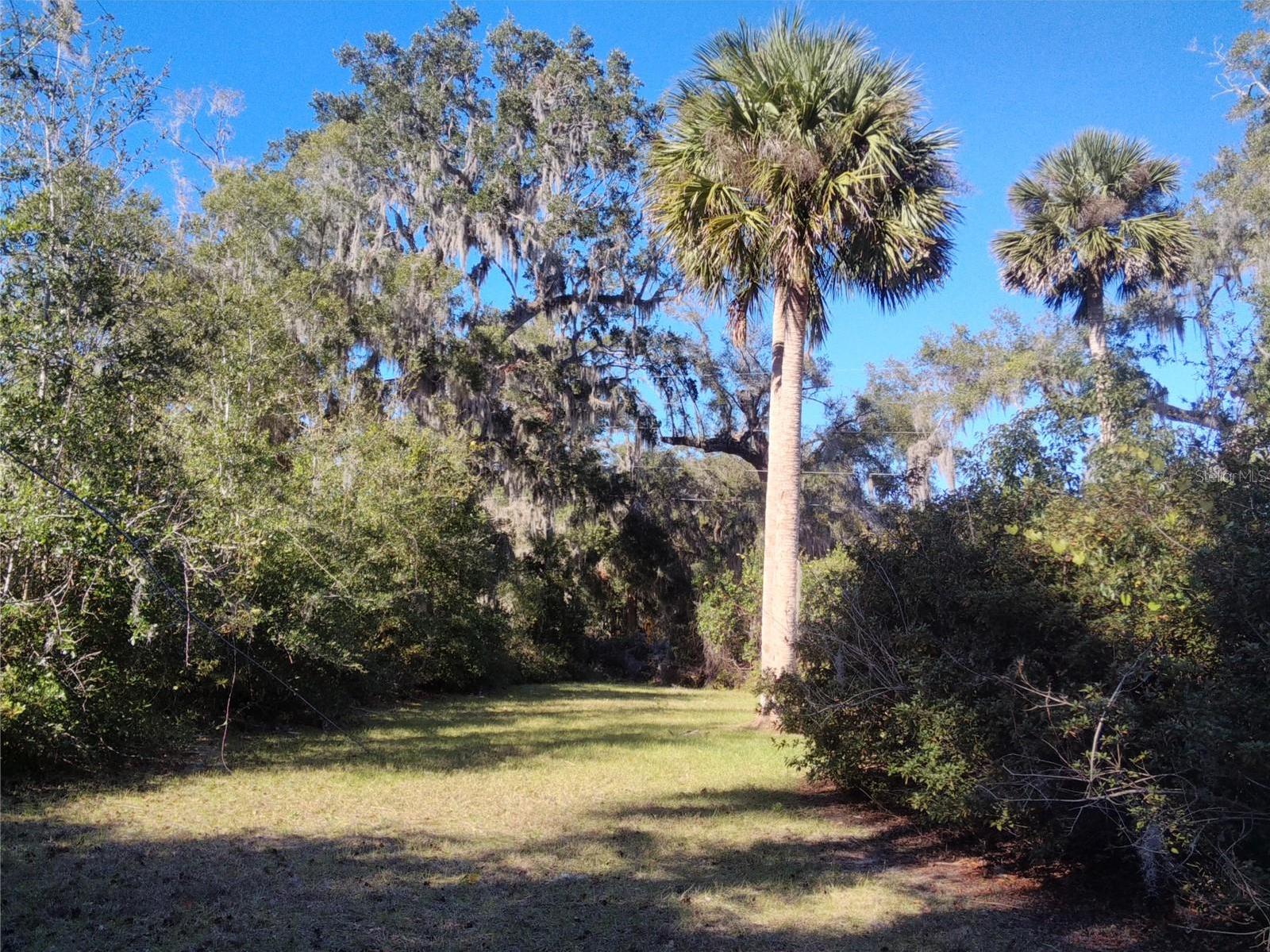 Photo #49
