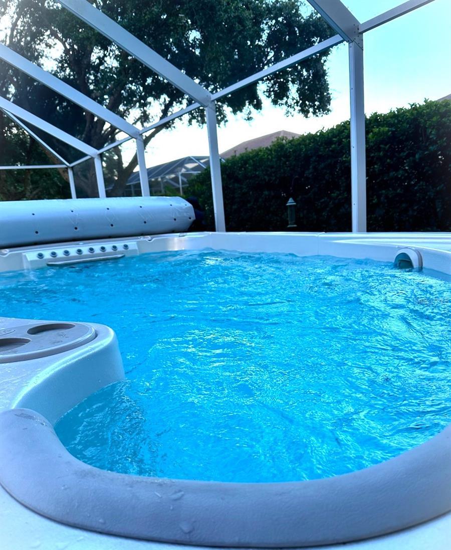 Photo #31