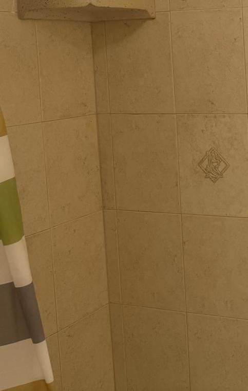 Photo #8