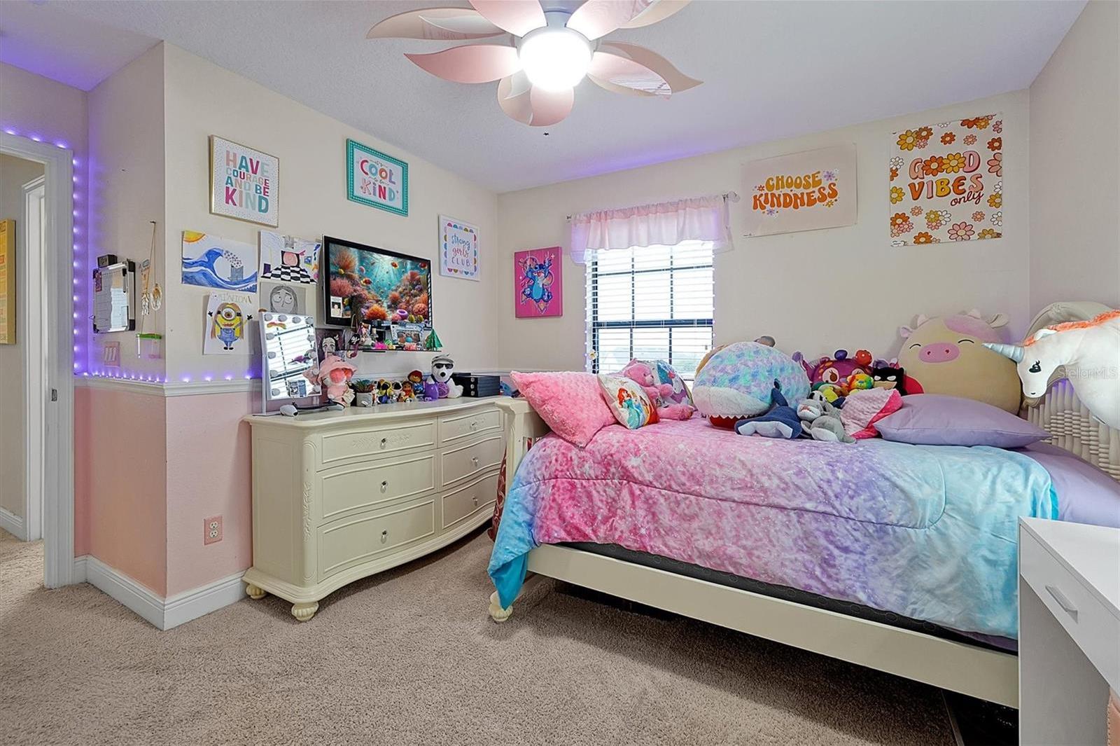 Photo #31