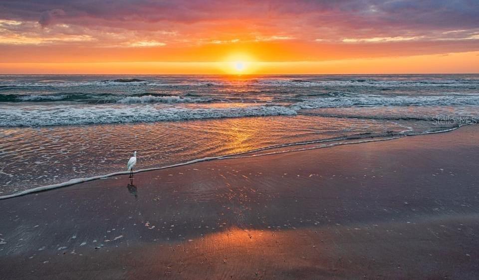 Photo #63